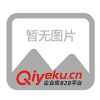 供應(yīng)普通堿性干電池充電器(圖)